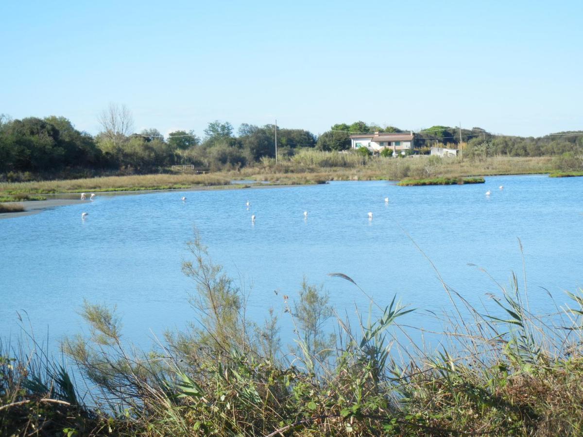 Casa Vacanze Mare Lido degli Scacchi Exteriör bild